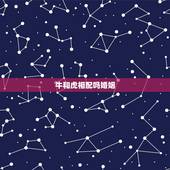 牛和虎相配吗婚姻，属相婚姻配对