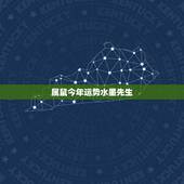属鼠今年运势水墨先生，鼠人今日运势水墨先生