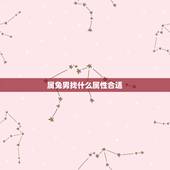 属兔男找什么属性合适，属兔跟什么相冲