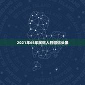 2021年65年属蛇人的微信头像，属蛇人2021年多少岁