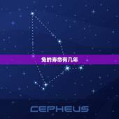 兔的寿命有几年，普通狗的寿命有几年