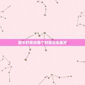 属牛的男孩哪个时辰出生最好，什么时辰出生的人最好
