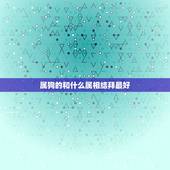 属狗的和什么属相结拜最好，属狗的人和什么属相的人最相配