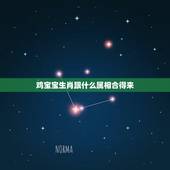 鸡宝宝生肖跟什么属相合得来，十二生肖跟鸡最合得来的是