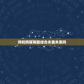 鸡和狗属相能结合夫妻关系吗，属鸡和属狗的适合做夫妻吗