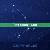 十二生肖属羊和什么相冲，最不合群的生肖