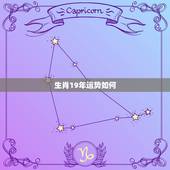 生肖19年运势如何，2019猪年运程怎么样，2019年十二生肖运程