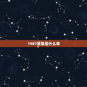 1987属兔是什么命，1987年属兔五行什么命