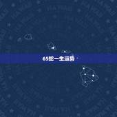 65蛇一生运势
