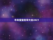 牛年宝宝名字大全2021，2021年牛宝宝取什么名字好？