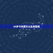 65岁今年属什么生肖属相，2021年60岁属什么生肖的