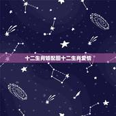 十二生肖婚配图十二生肖爱情，十二生肖姻缘配对