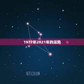 1977年2021年的运势，1977年属蛇男2021年的运势和婚姻