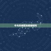 牛与羊相配的婚姻如何，男牛女羊的婚姻顺利吗