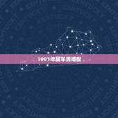 1991年属羊男婚配，1991年属羊的更佳配偶