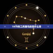 1978年二月属马的是什么命，1978年属马的到底是火命还是土命