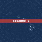 男牛女虎婚配穷一辈，虎女和牛拜干爹