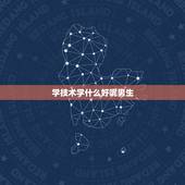 学技术学什么好呢男生，男孩子学什么技术好？