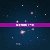 属虎的买房十六忌，属虎人从今天开始投资房产合适吗