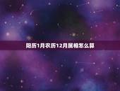 阳历1月农历12月属相怎么算，生肖怎么算？农历腊月底，阳历1月底，属什