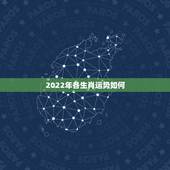 2022年各生肖运势如何，2022年十二生肖运势