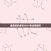 属龙的在虎年2022年运势如何，属虎2022年运势及运程每月运程