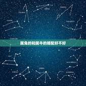属兔的和属牛的婚配好不好，属虎和属龙的婚配好不好