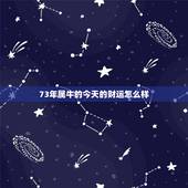 73年属牛的今天的财运怎么样，属牛今年财运什么方向