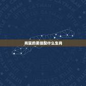肖鼠的更佳配什么生肖，相属婚姻更佳配偶狗和鼠