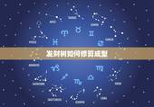发财树如何修剪成型，发财树怎样修剪