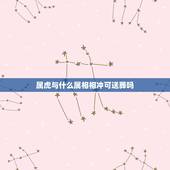 属虎与什么属相相冲可送葬吗，属虎的和什么属相相冲