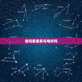 请问家里养乌龟好吗，家里养乌龟有什么讲究？