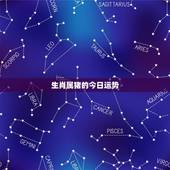生肖属猪的今日运势，2022 猪人全年运势