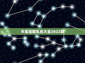 牛宝宝取乳名大全2022款，牛宝宝适合取什么小名