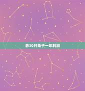 养30只兔子一年利润，养哪种兔子利润更大