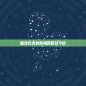 属龙和虎的属相婚配好不好，属虎可以与属龙的相配吗