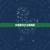 水瓶座与什么星座配，水瓶座和什么星座最配