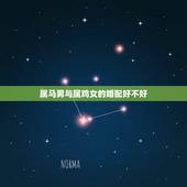 属马男与属鸡女的婚配好不好，男属马女属鸡相配吗