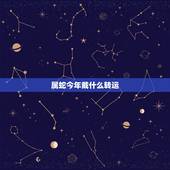 属蛇今年戴什么转运，属蛇人戴什么最旺财