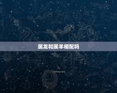 属龙和属羊相配吗，属龙和属马相配吗