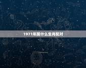 1971年属什么生肖配对，71年属猪的和什么属相最配？