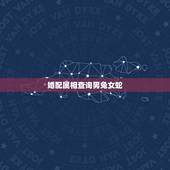 婚配属相查询男兔女蛇，属相婚配：男属蛇和女属兔相配吗