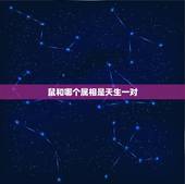 鼠和哪个属相是天生一对，哪个属相是天生一对