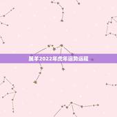 属羊2022年虎年运势运程，属龙人2022年运势运程