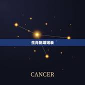 生肖配婚姻表，属相婚配十二生肖年龄表