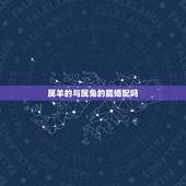 属羊的与属兔的能婚配吗，属羊与属兔可以相配偶吗