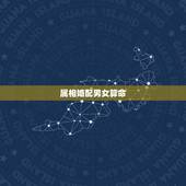 属相婚配男女算命，属相婚配可以相信吗