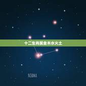 十二生肖属金木水火土，金木水火土与十二生肖有什么关系