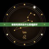爸爸和龙妈生什么属相最好，兔爸龙妈生什么生肖好