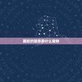 属蛇的禁忌养什么宠物，属蛇适合在家里养什么